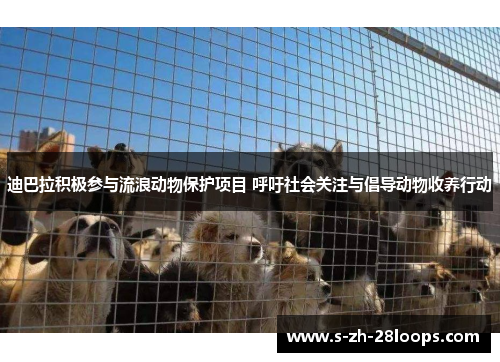 迪巴拉积极参与流浪动物保护项目 呼吁社会关注与倡导动物收养行动