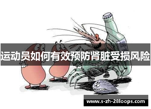 运动员如何有效预防肾脏受损风险