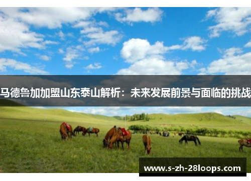 马德鲁加加盟山东泰山解析：未来发展前景与面临的挑战